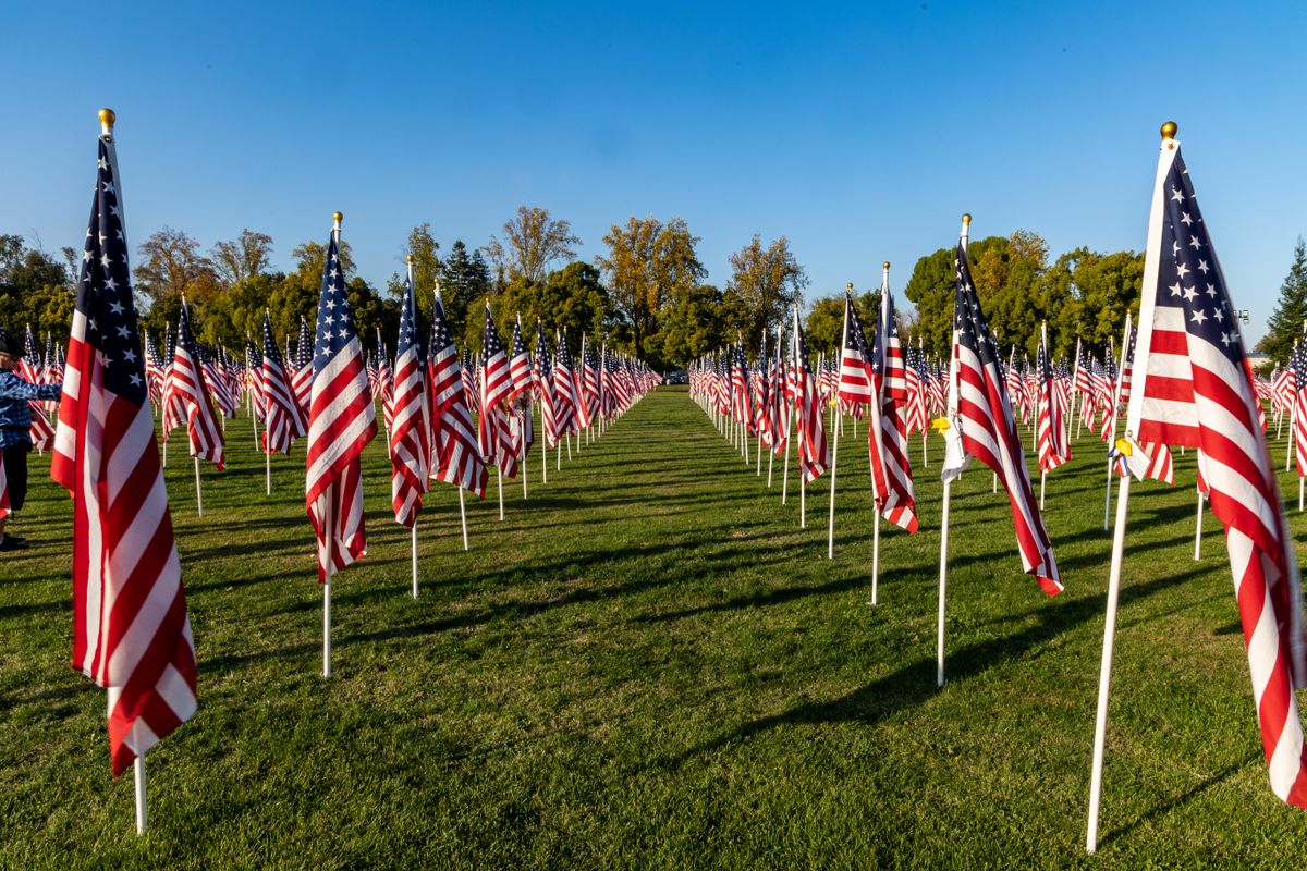 A field of American flags on display